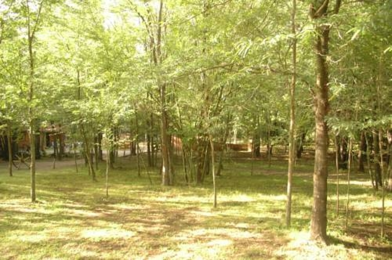 Bosque Encantado Cabañas