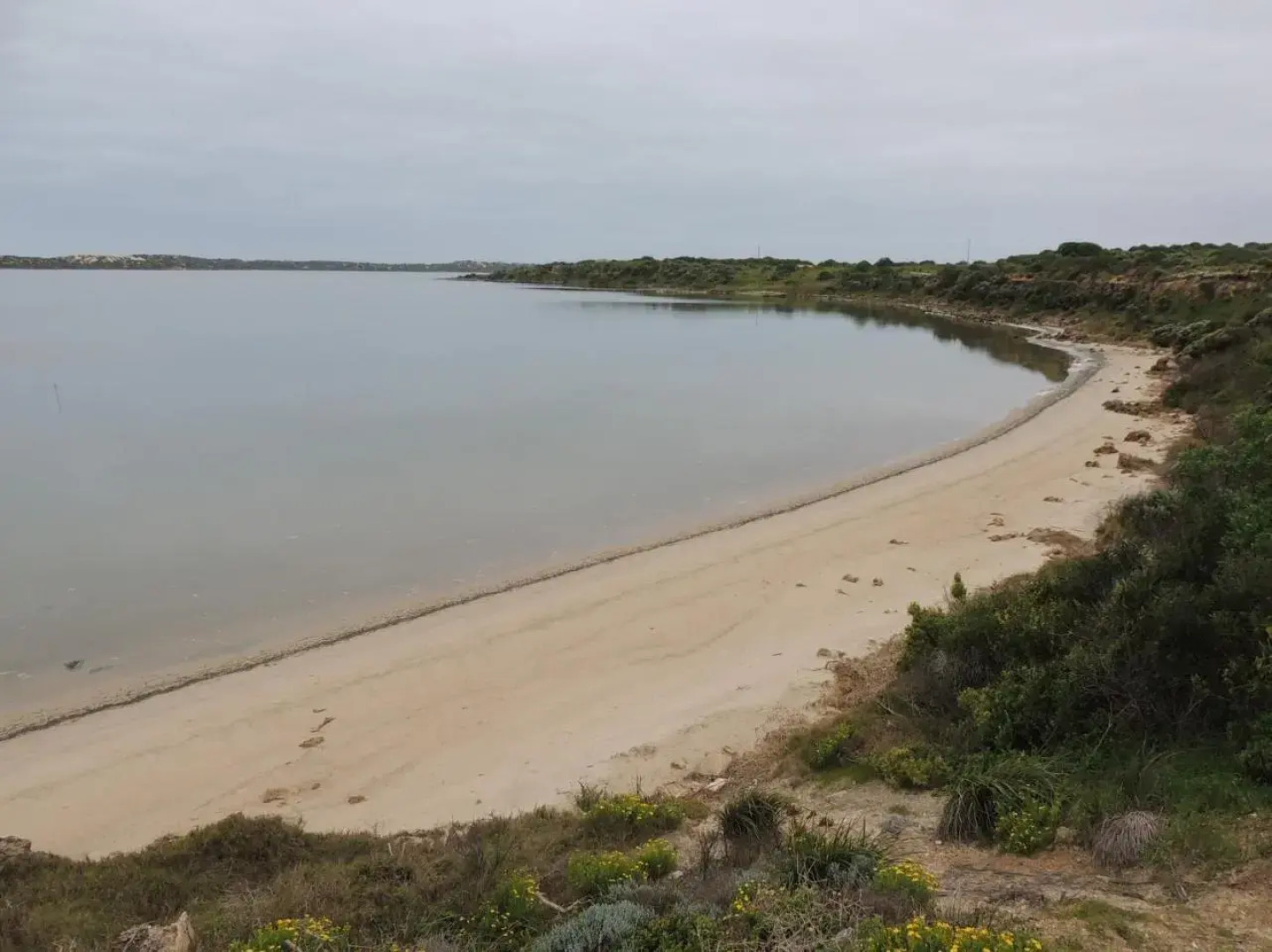 Samphire: Coorong Accommodation