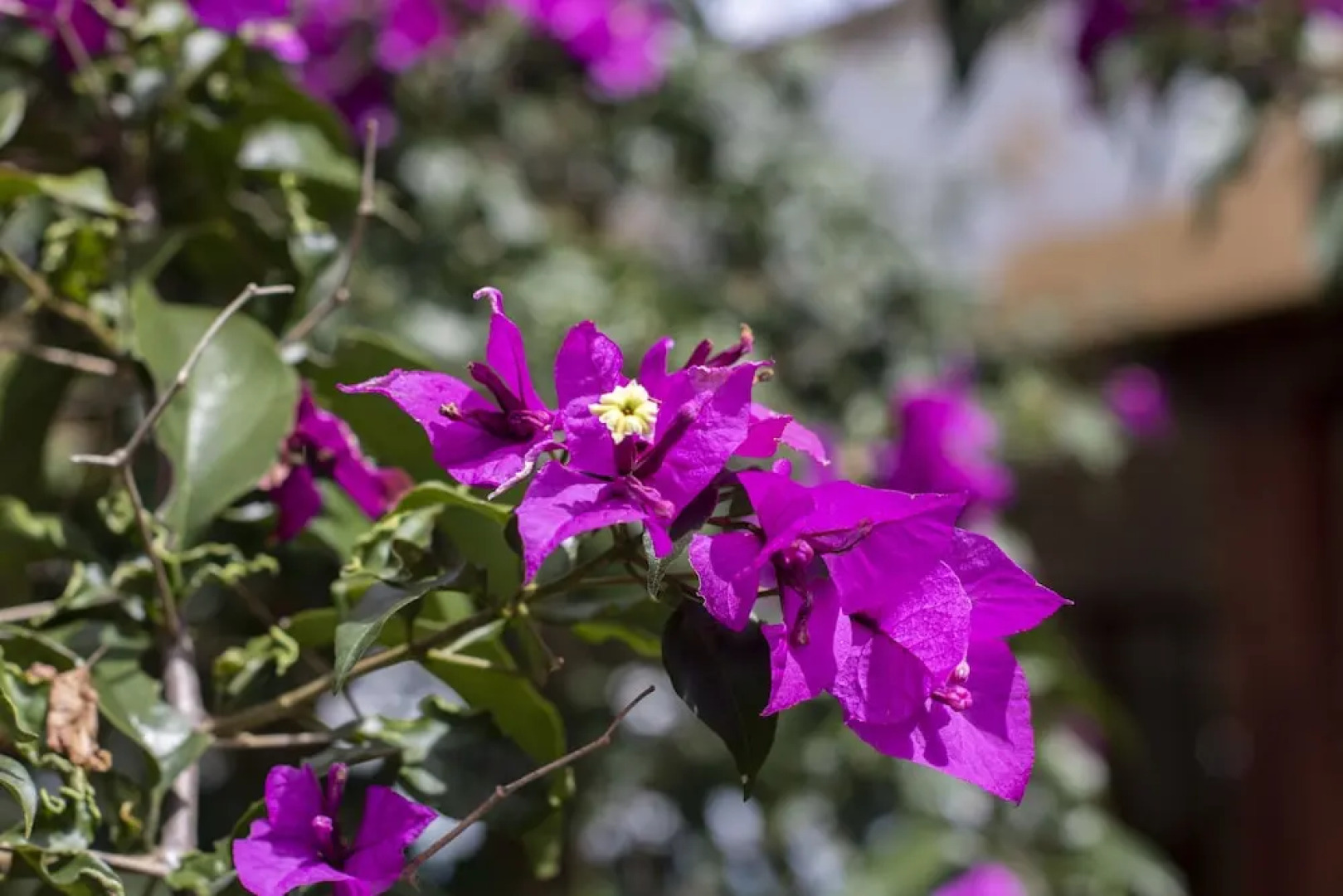 Tucurinca Hotel & Spa