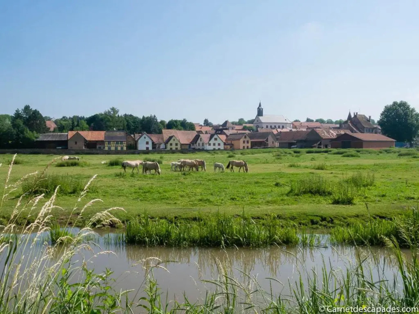 Coeur d'Alsace Colmar Vignobles Ouest