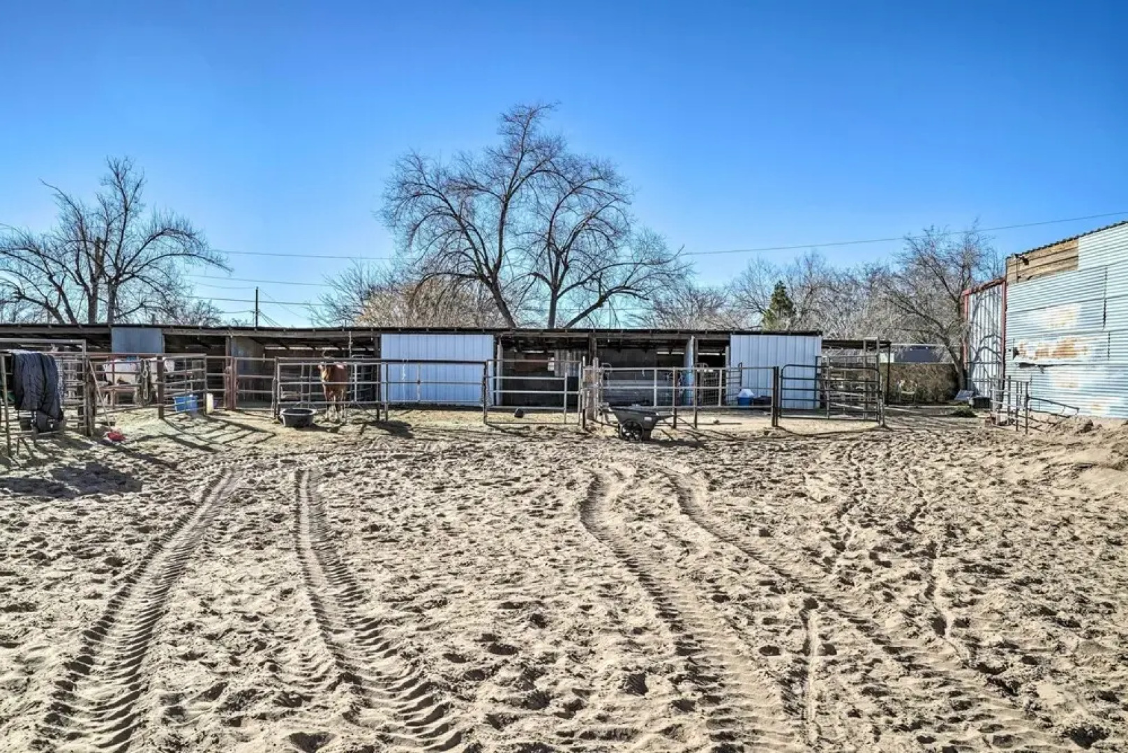 Cozy Las Cruces Apt on Pecan & Horse Farm!