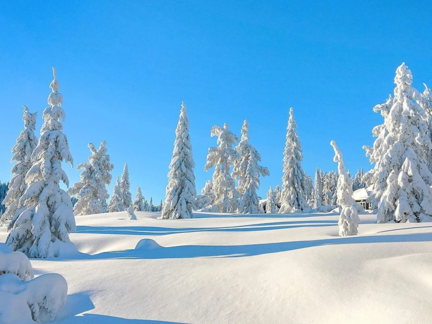 10 Person Holiday Home in BOE Telemark