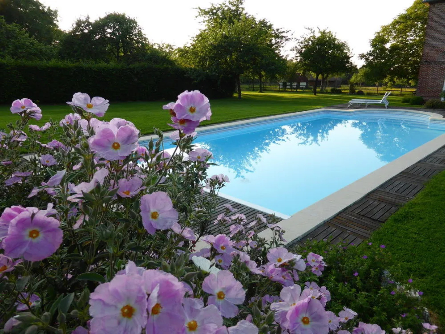 Ailleurs Sous Les Étoiles