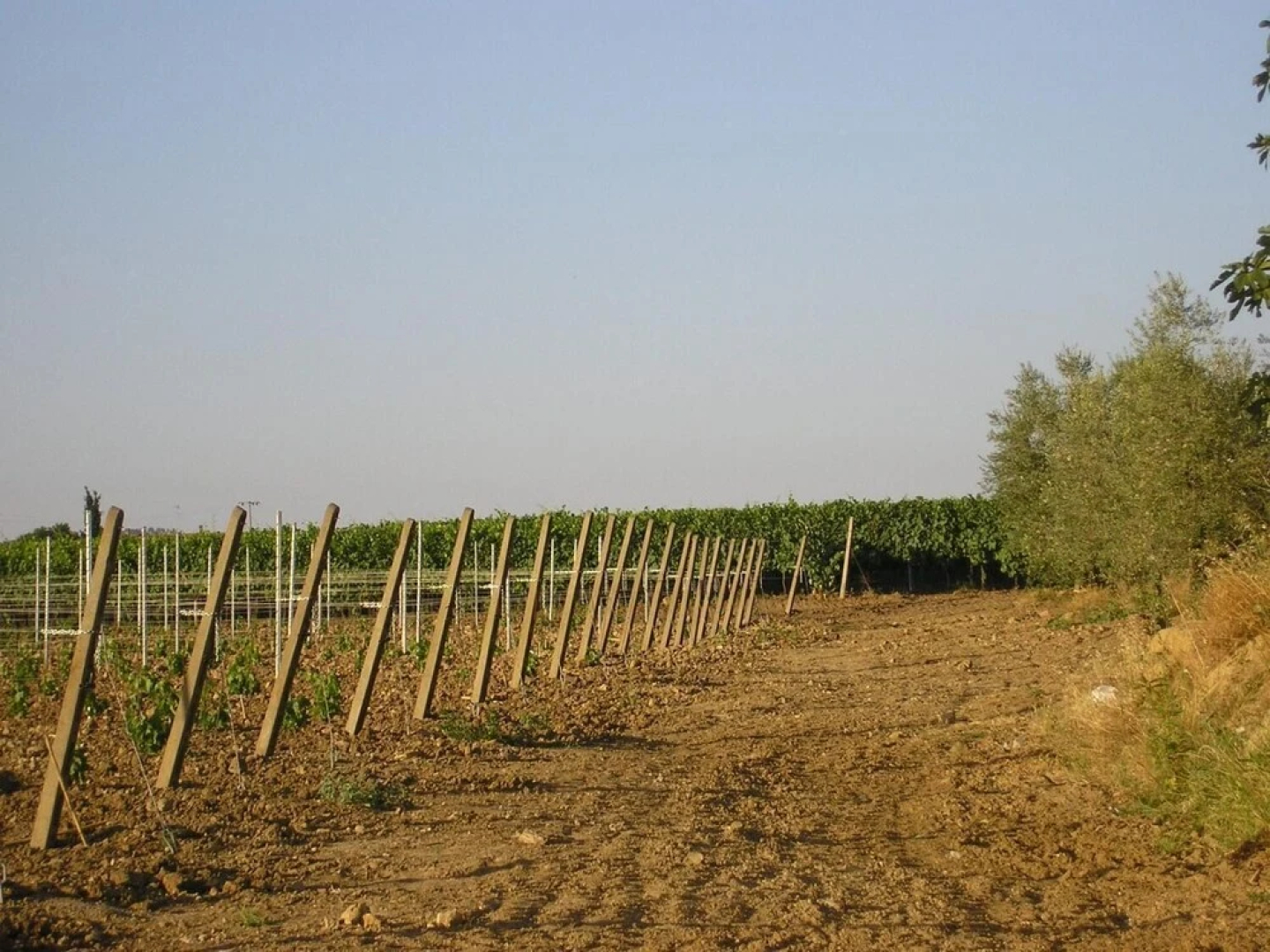 Agriturismo Sovanella