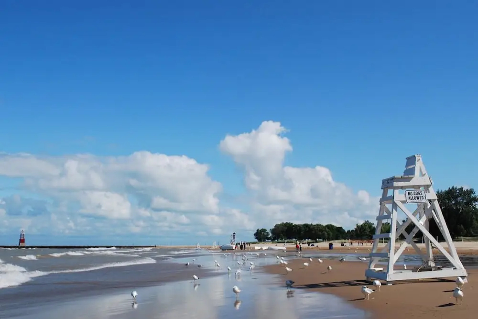 House 5863 - Chicago Bed and Breakfast