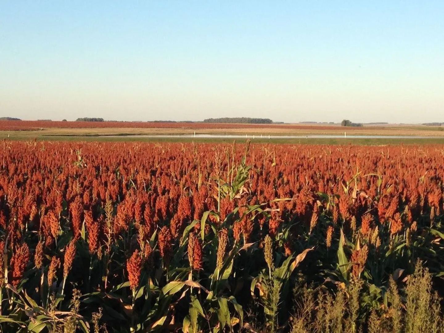 Complejo Turistico Flores Hotel de Campo
