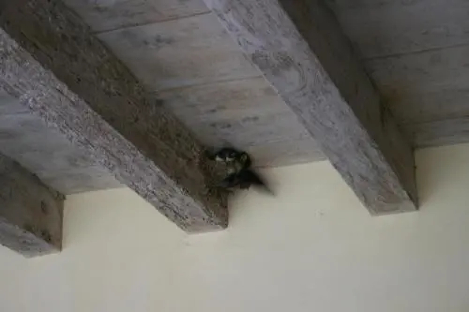 Agriturismo L'Unicorno