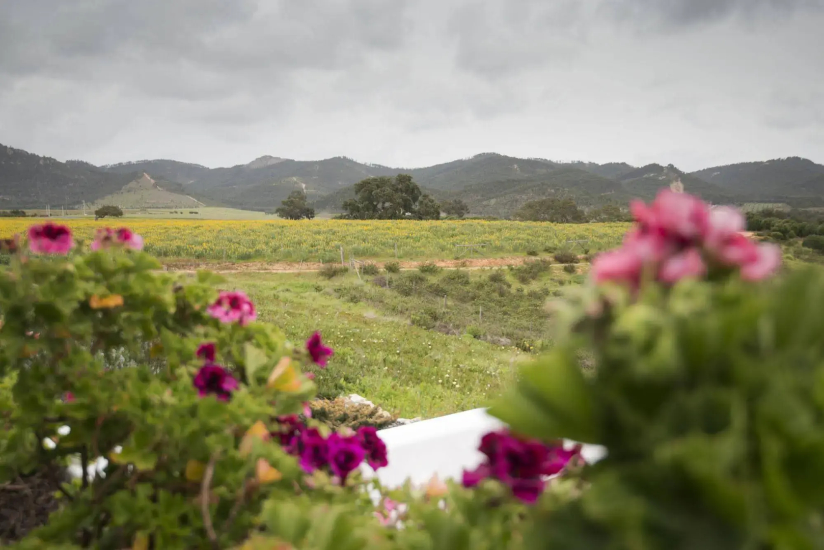 Herdade do Amarelo Nature & Spa