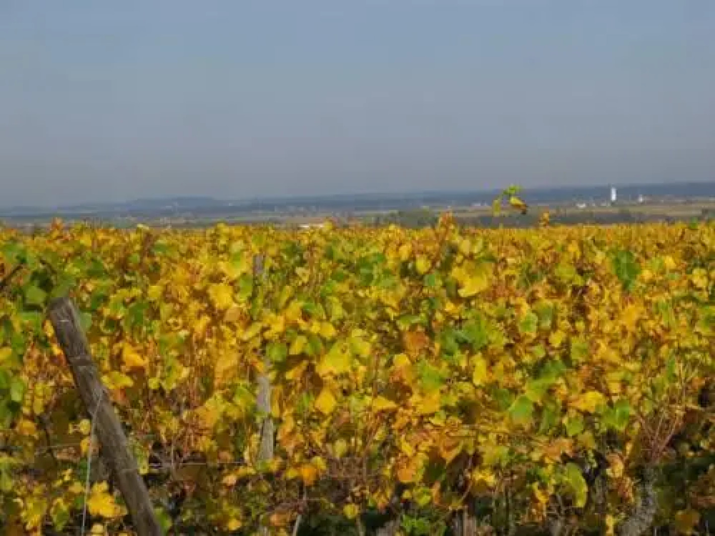 Hotel Restaurant Faller Emmebuckel