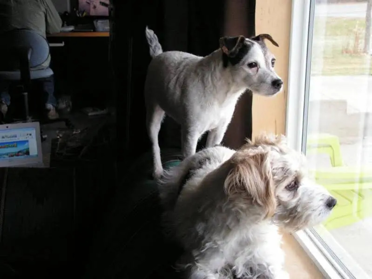 Bell Mountain Motel McBride