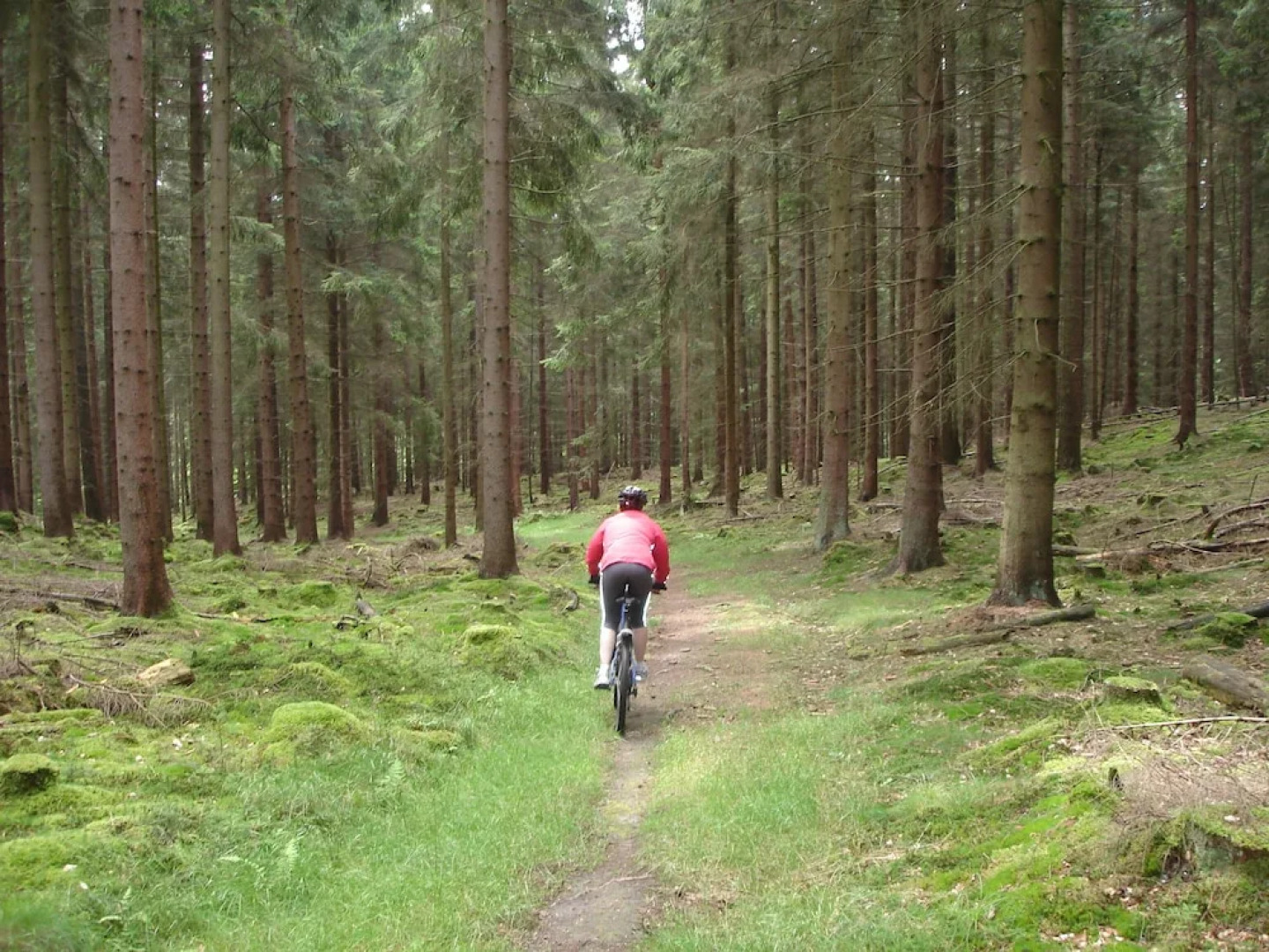 Ferienhaus am Solling