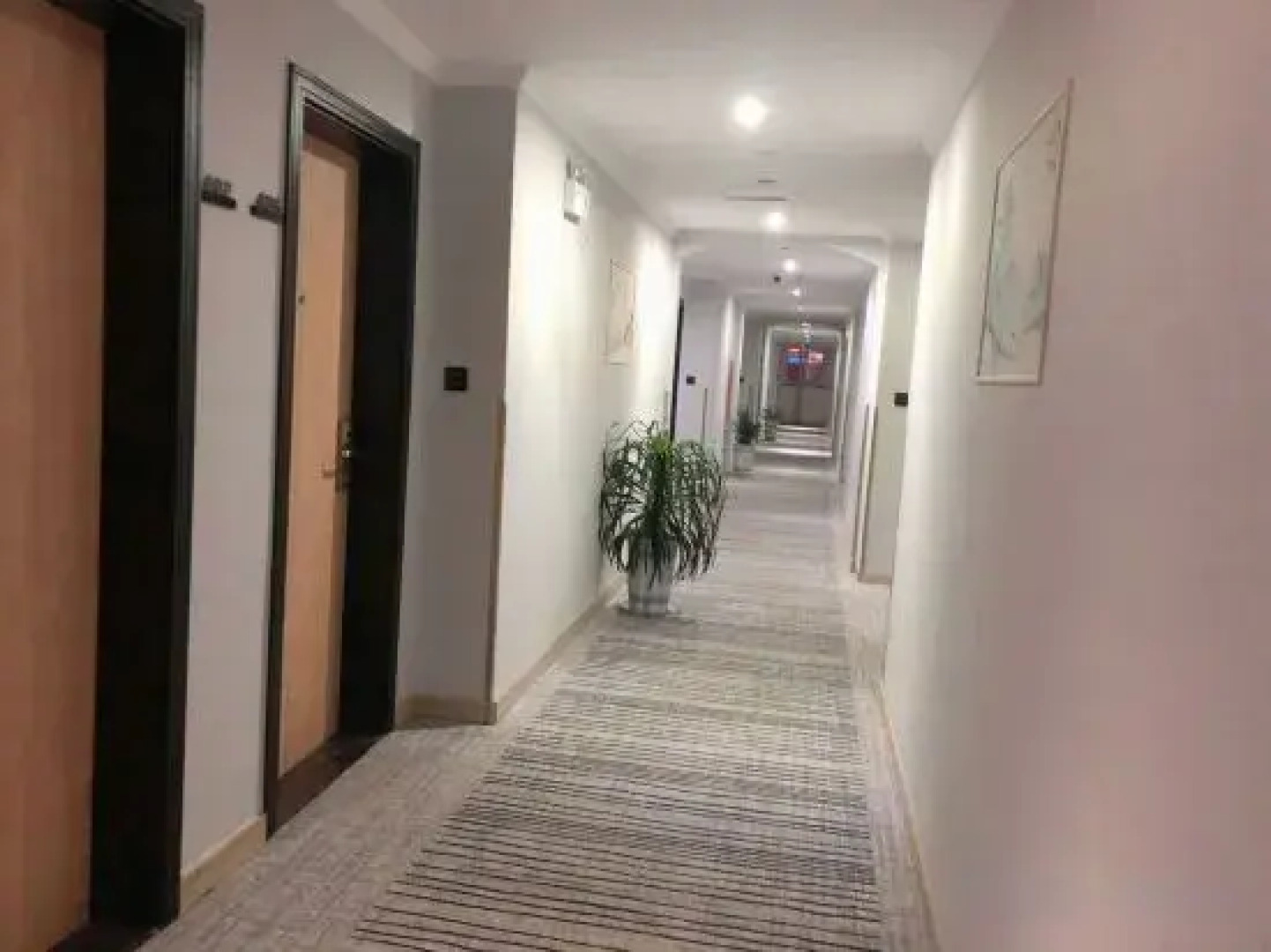 GreenTree (Jinhu West Road 84 Plaza)