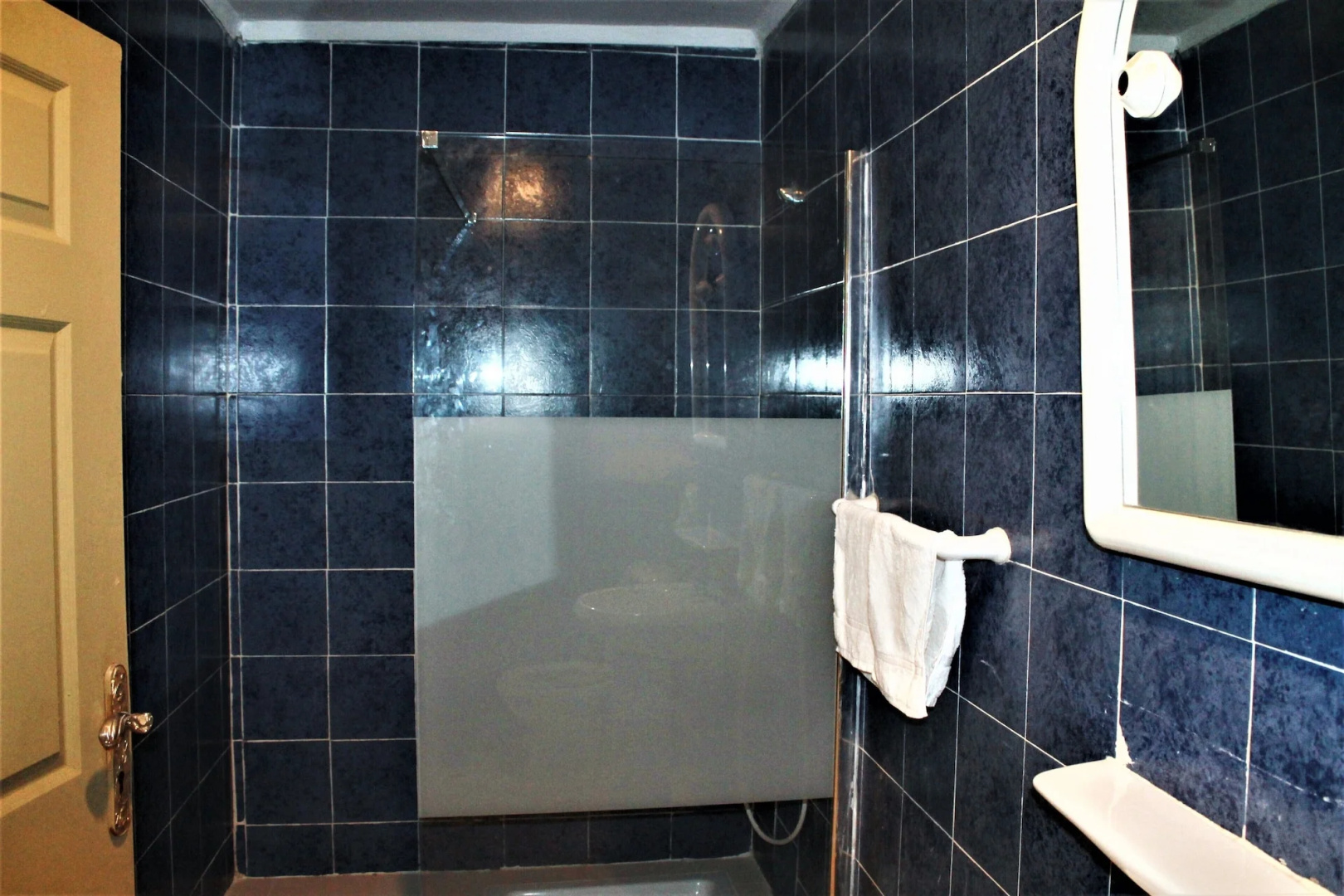 badala park hotel