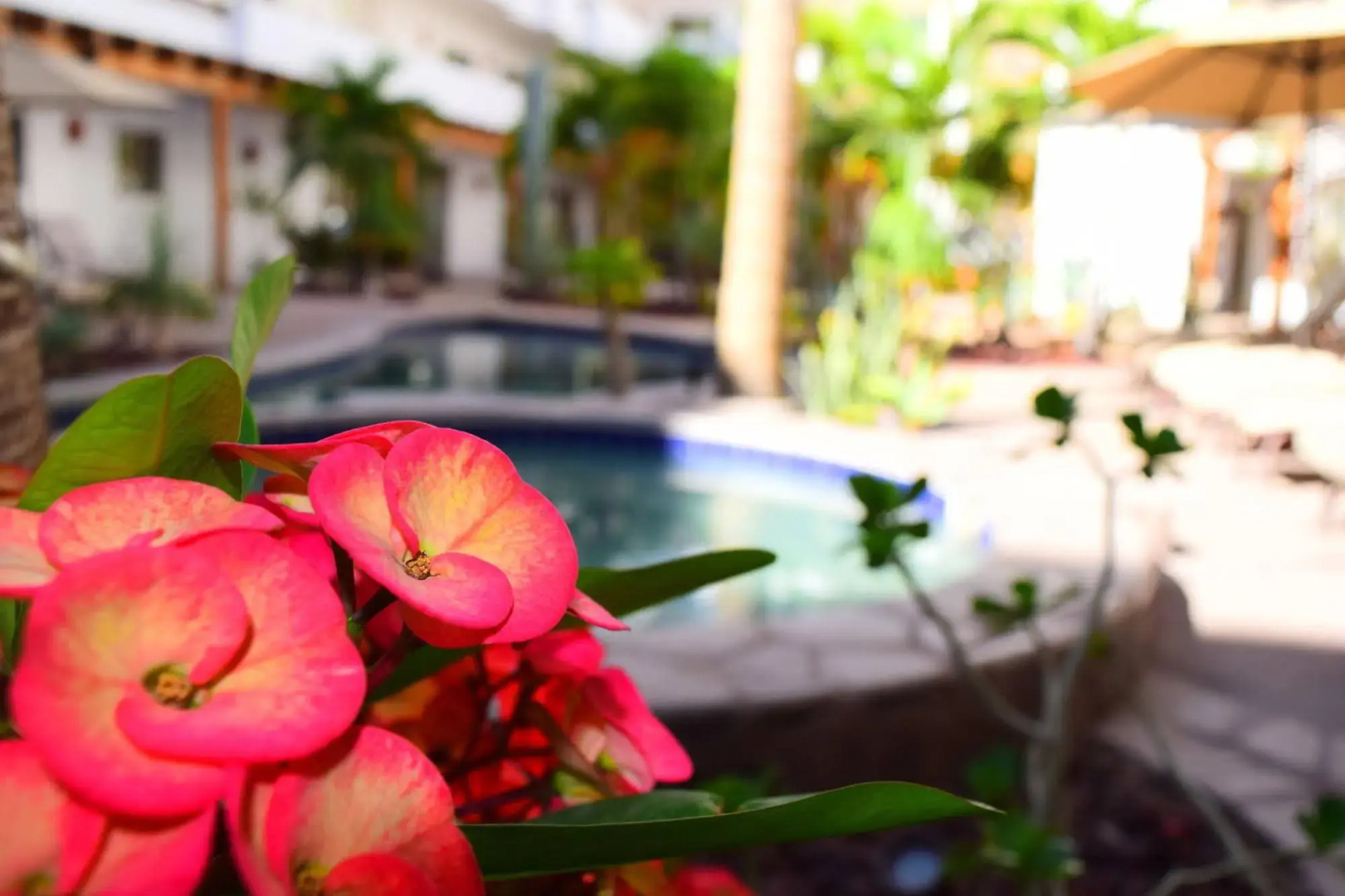 Santa Fe Luxury Residences