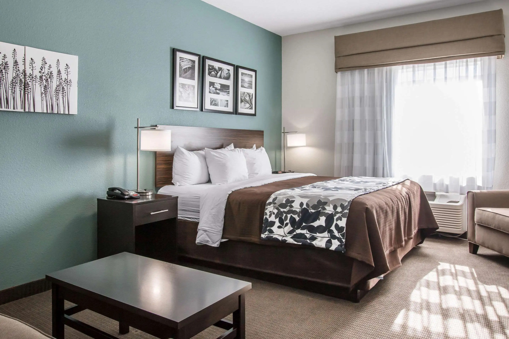 Sleep Inn & Suites Meridian - Bonita Lakes