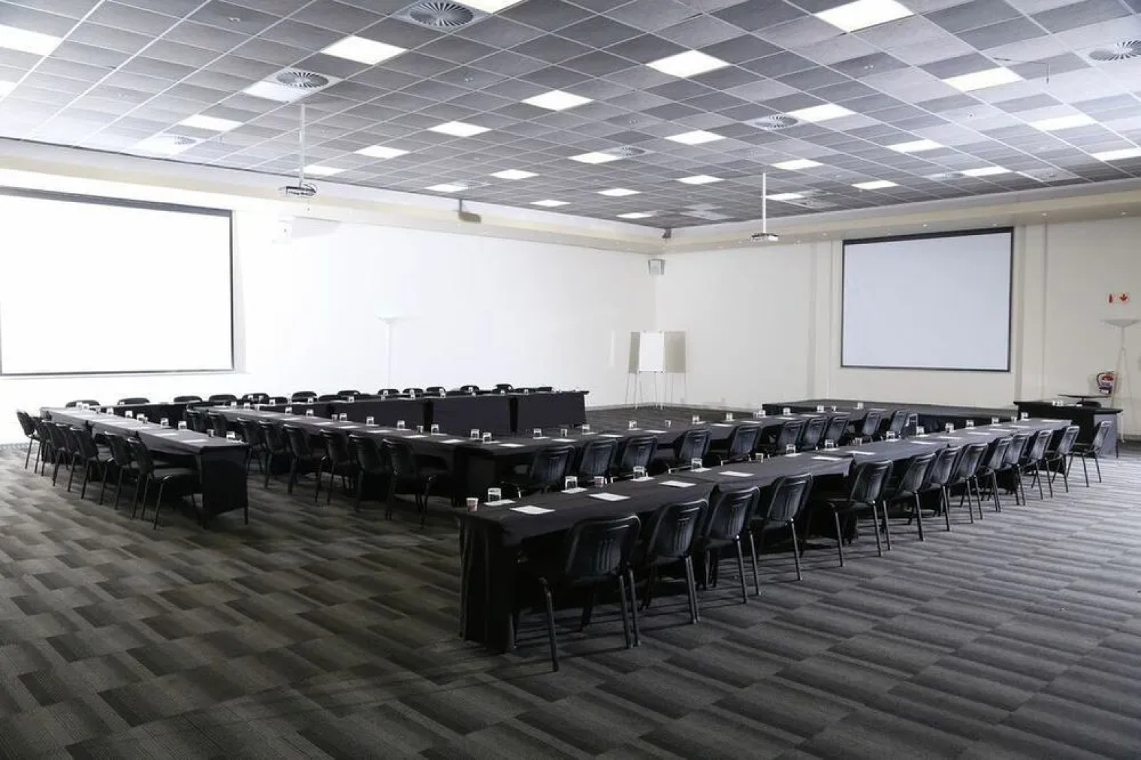 The Aviator OR Tambo