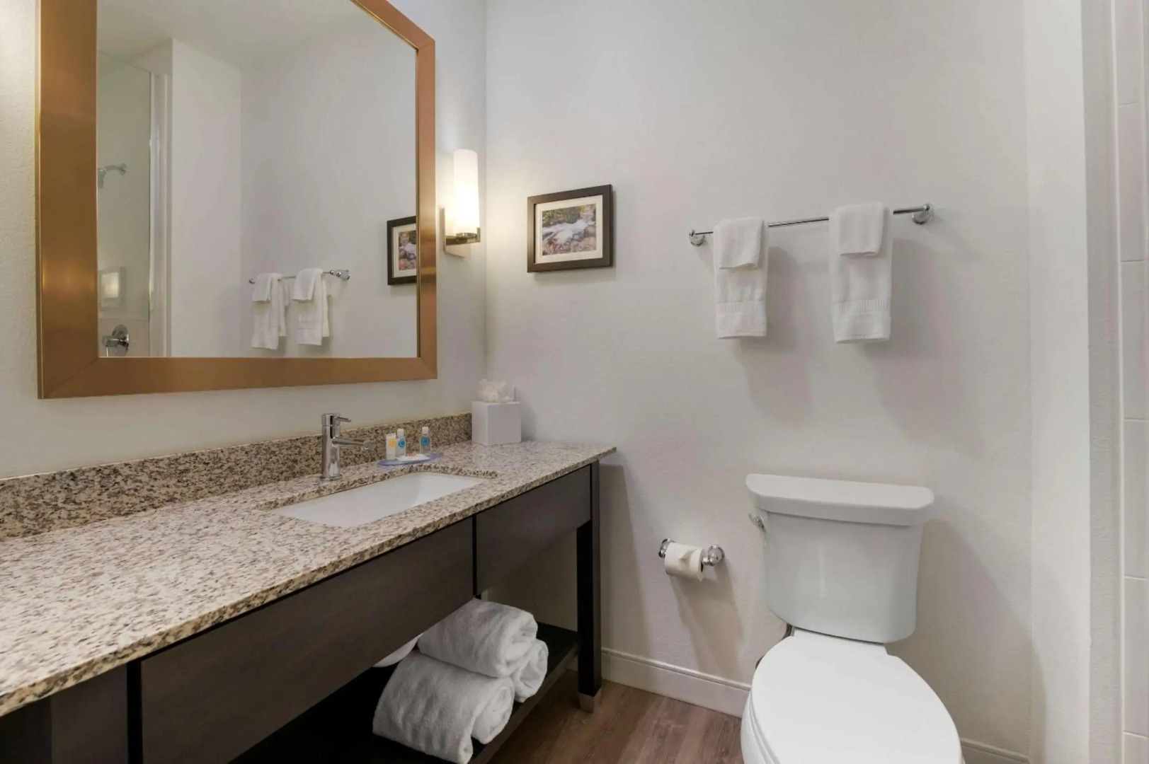 Comfort Suites Cincinnati University - Downtown