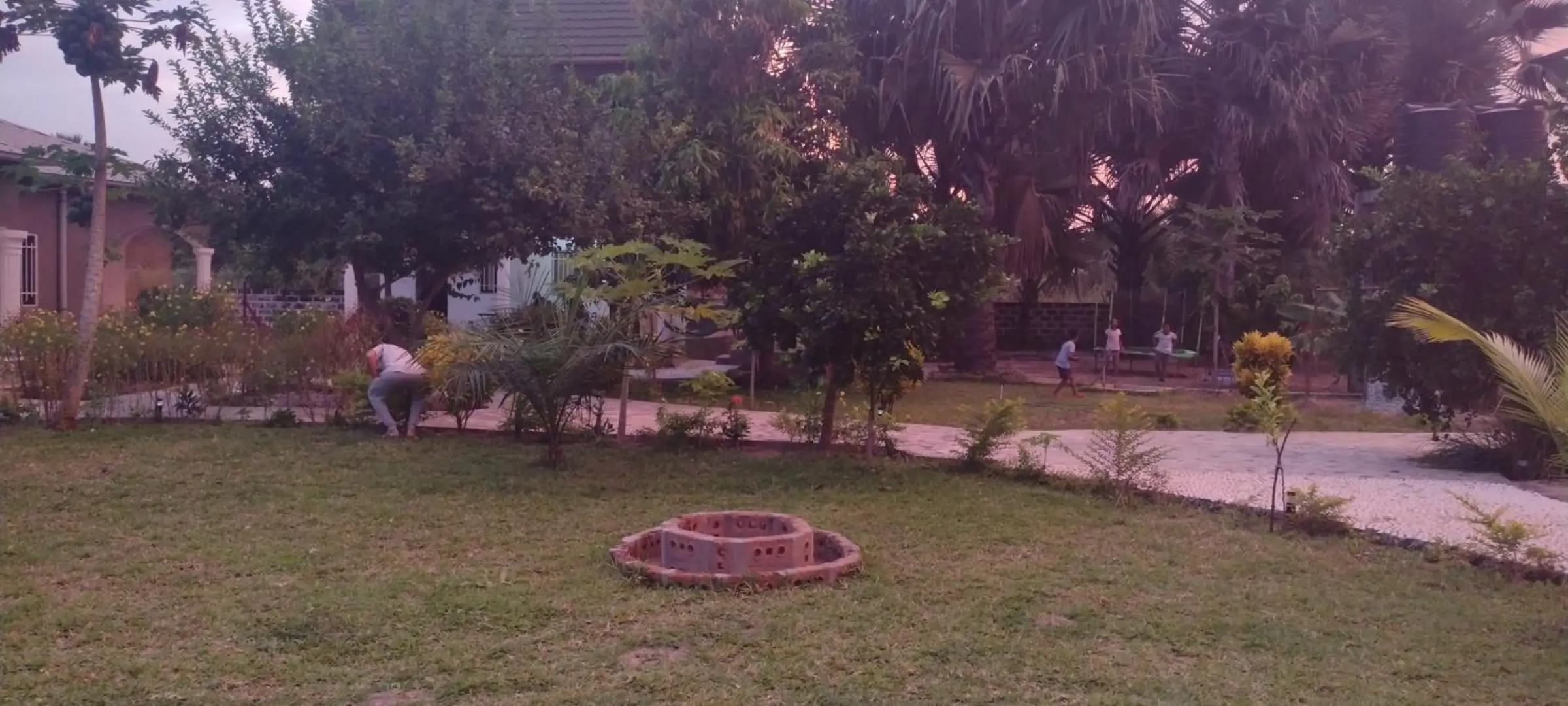 Real Owl Guest House