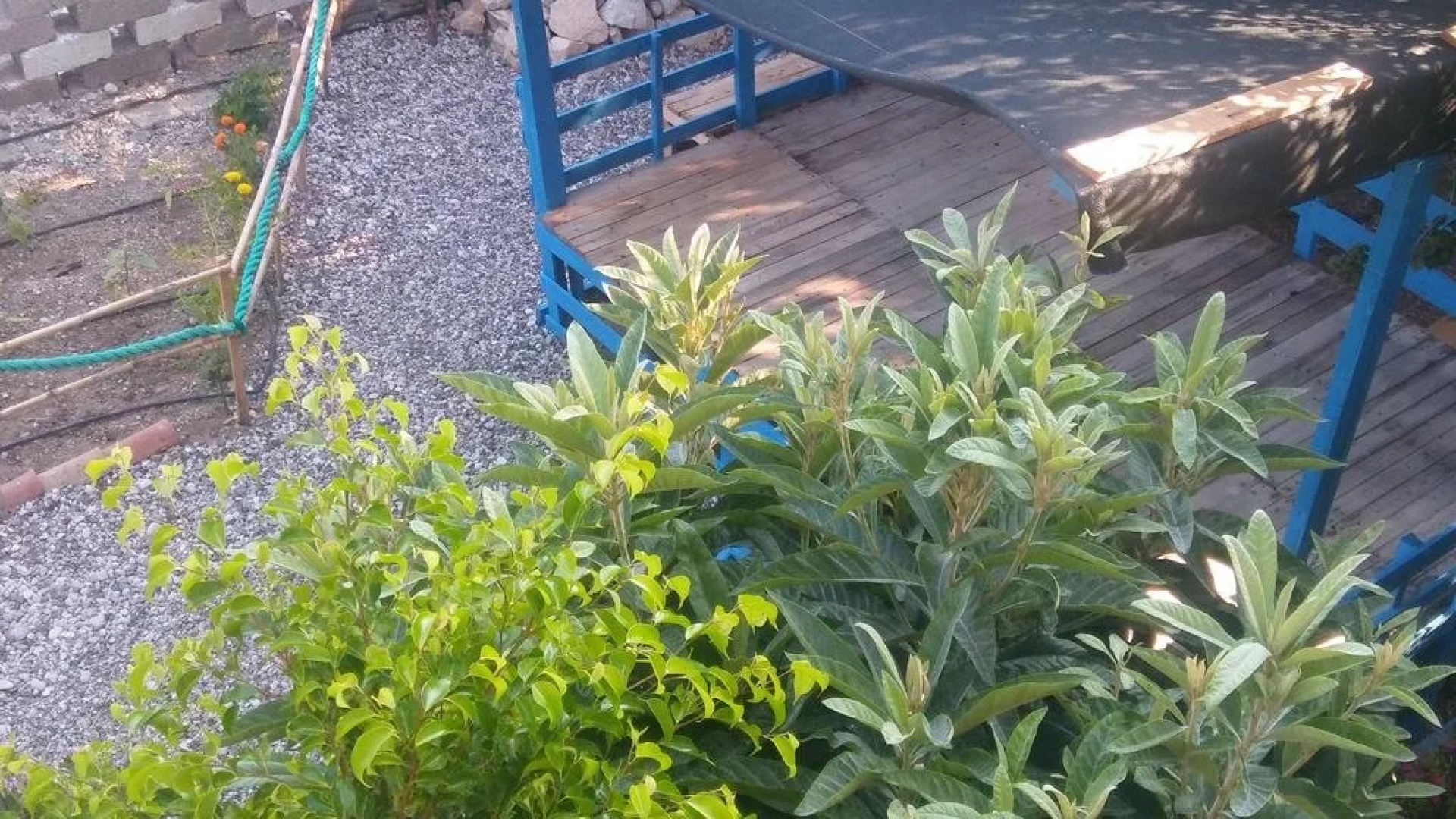 Hasyurt Hotel