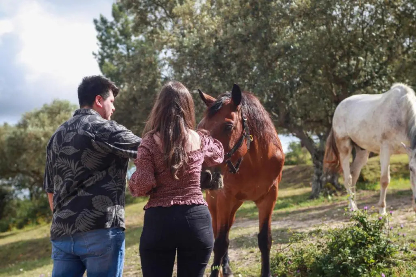 Quinta Ribeiro Tanquinhos