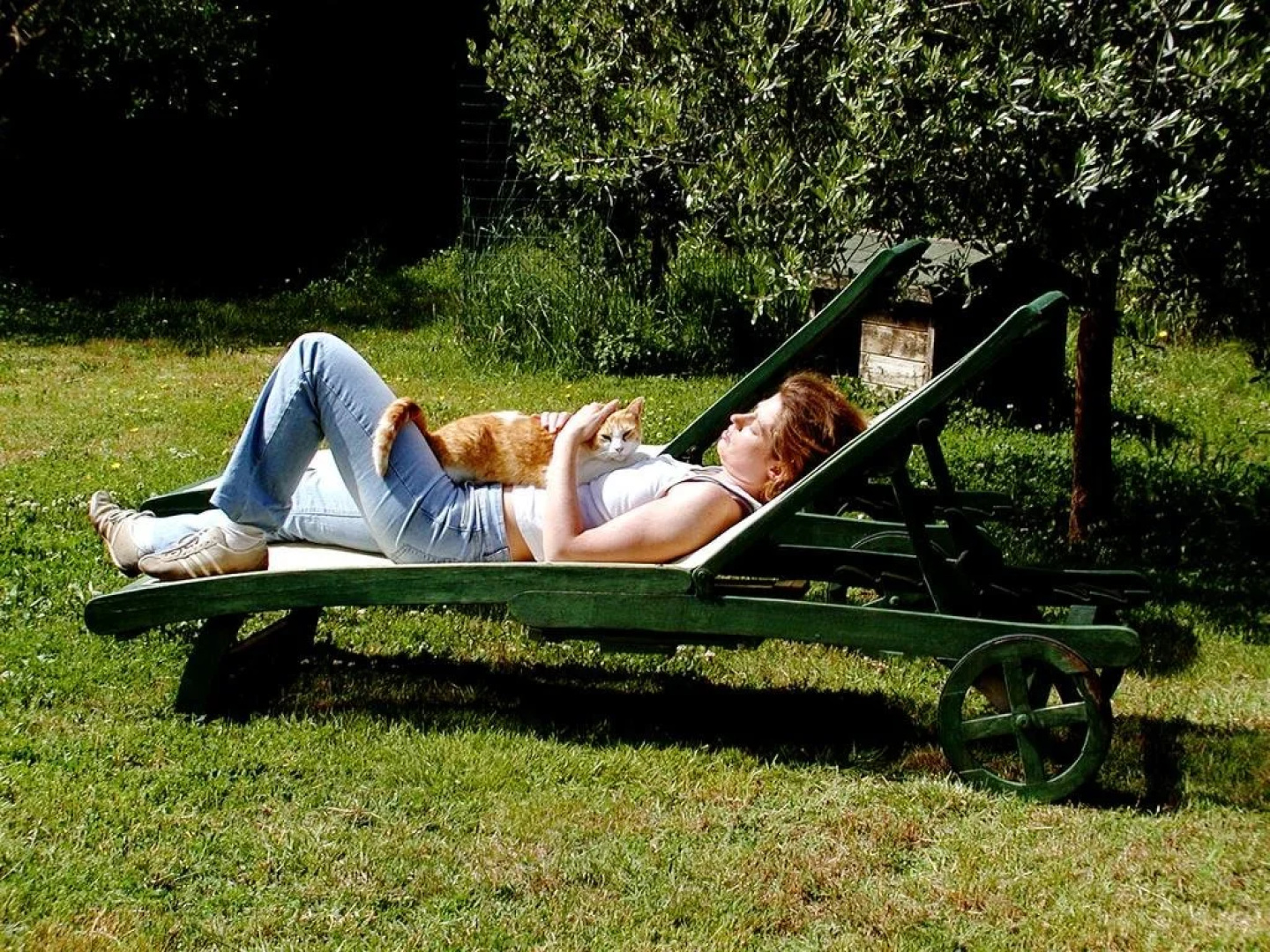 Bed and Breakfast I Gatti Del Castello