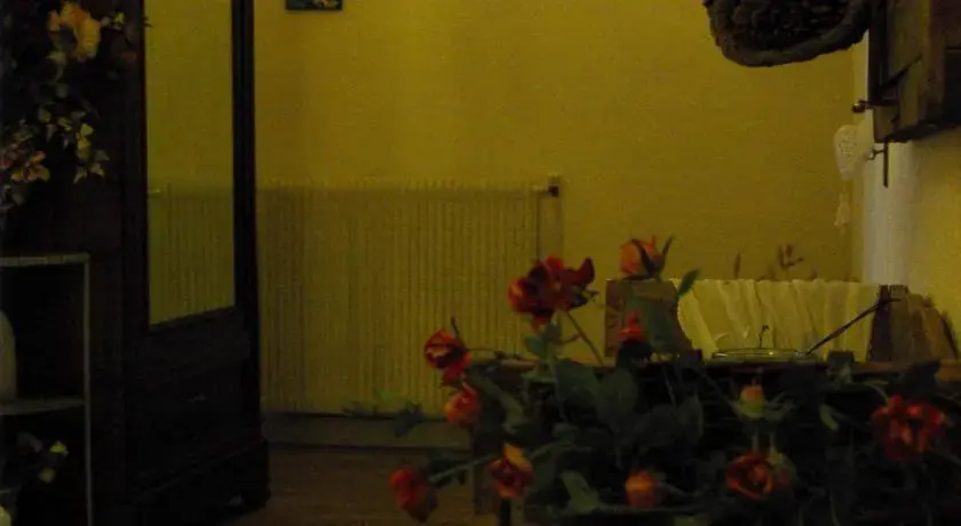 Les Dryades du Bois de Randan