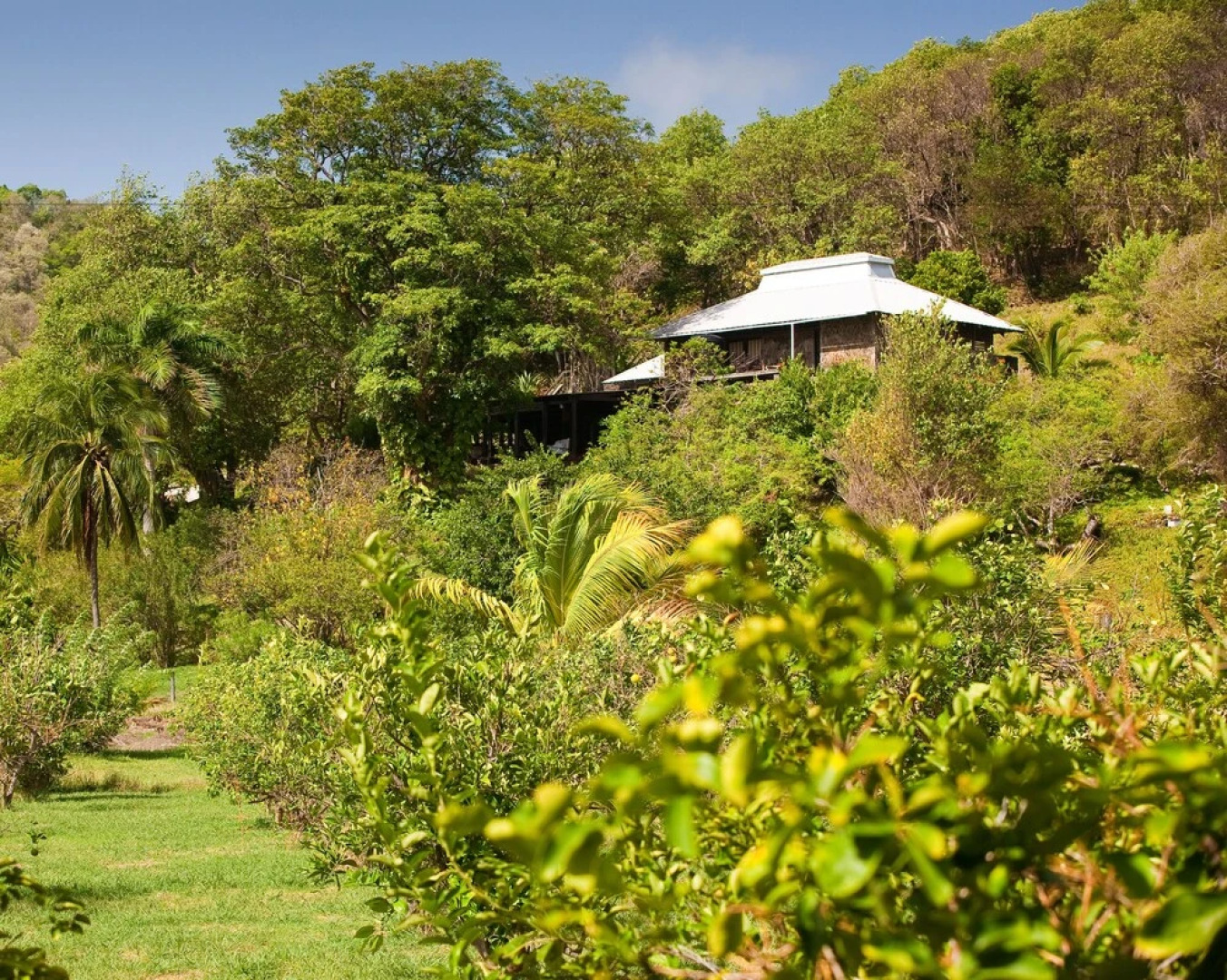 Firefly Estate Bequia