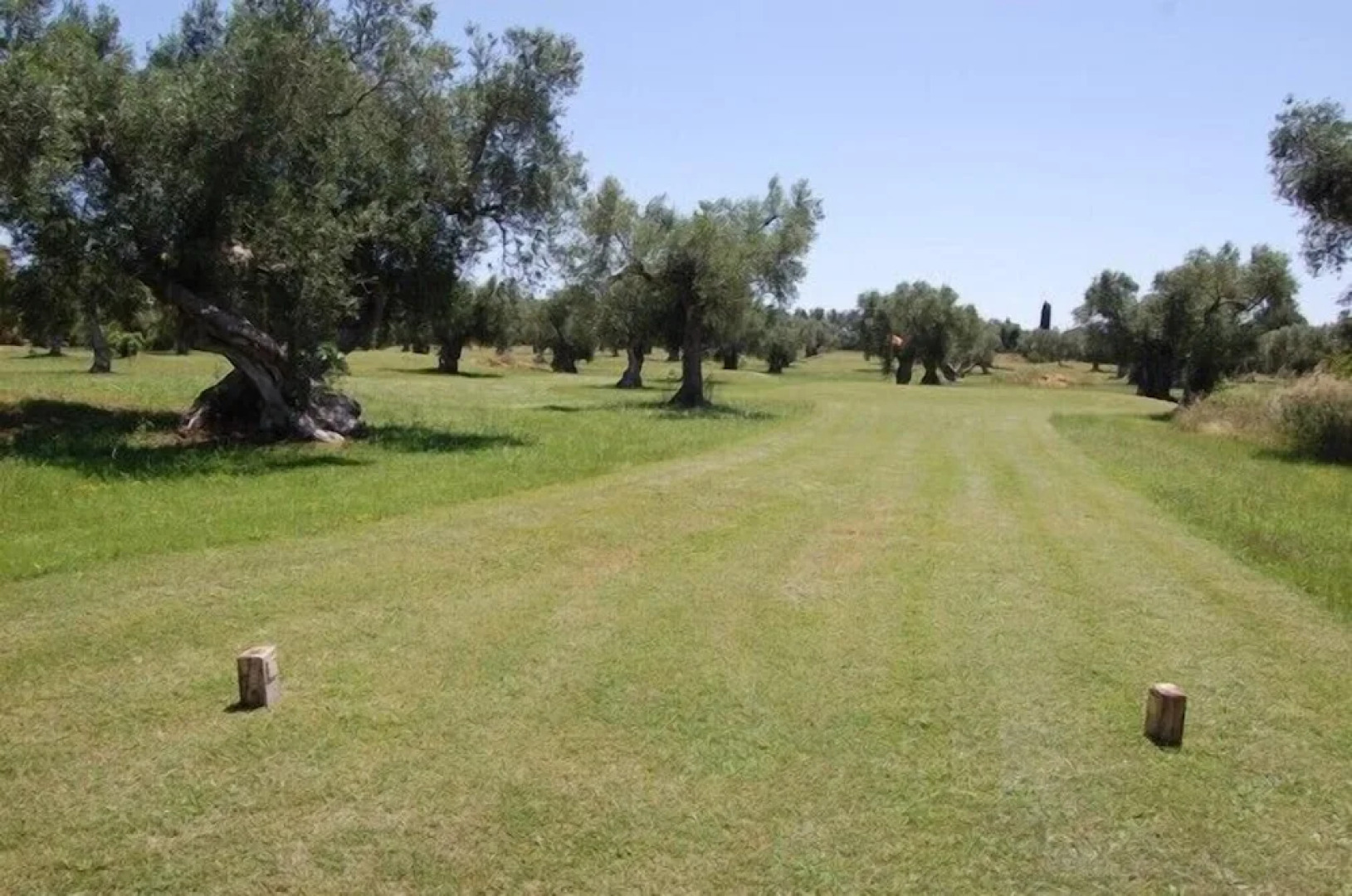 Scalilla - L'Agriturismo