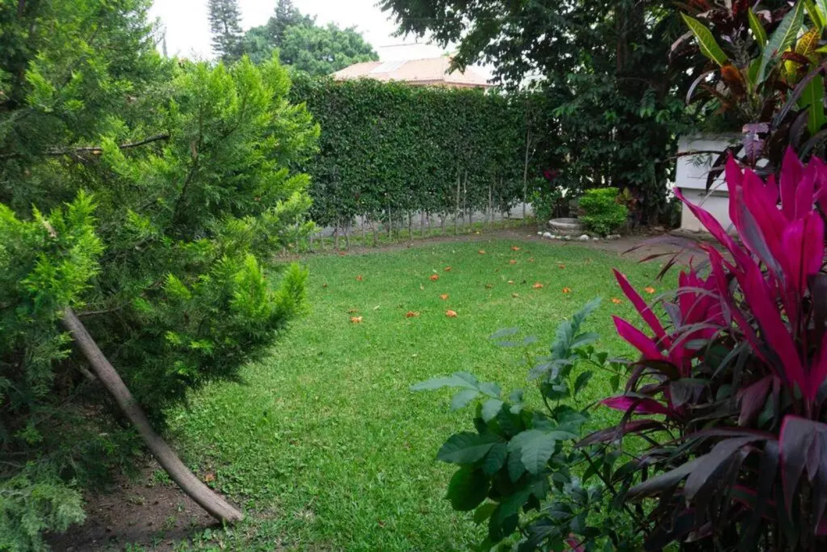 Suites Díanka LOMAS DE COCOYOC
