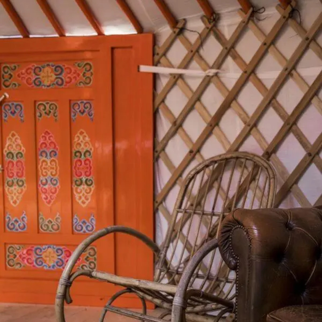 Het Wylde Pad - Let’s go Wylde!