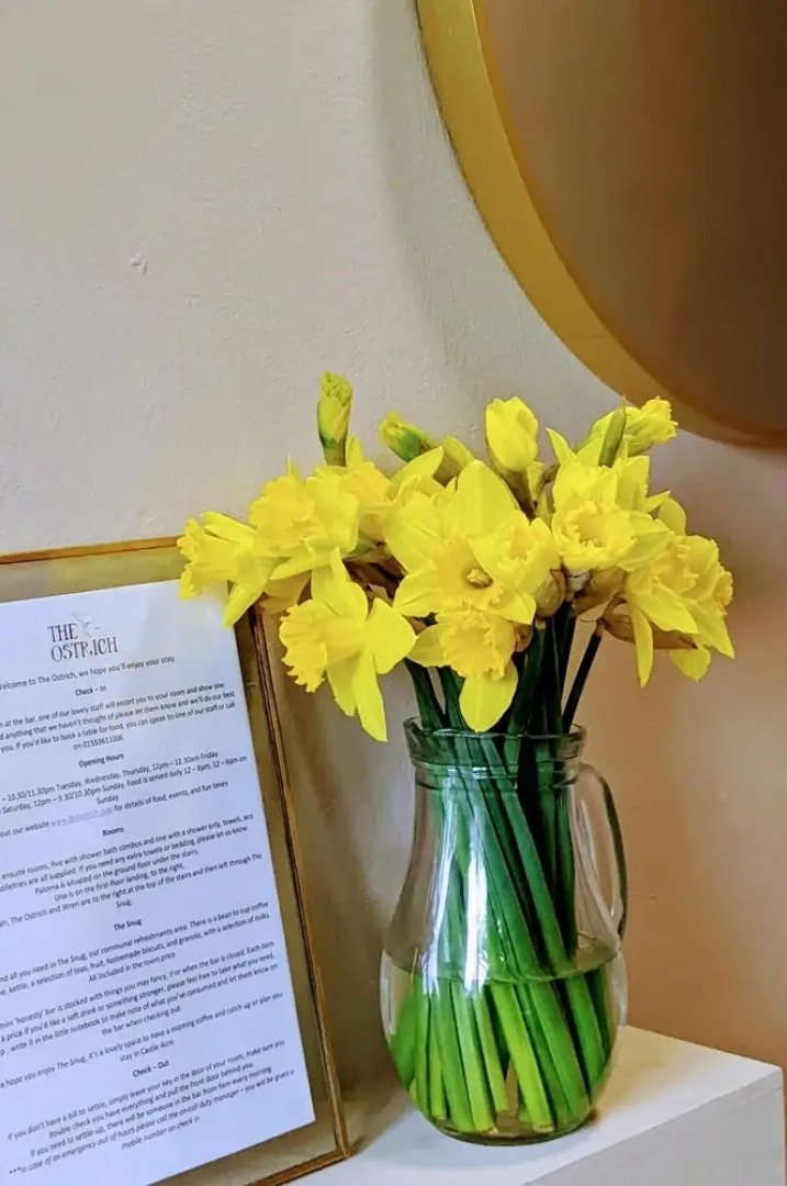 The Ostrich Castle Acre Pub