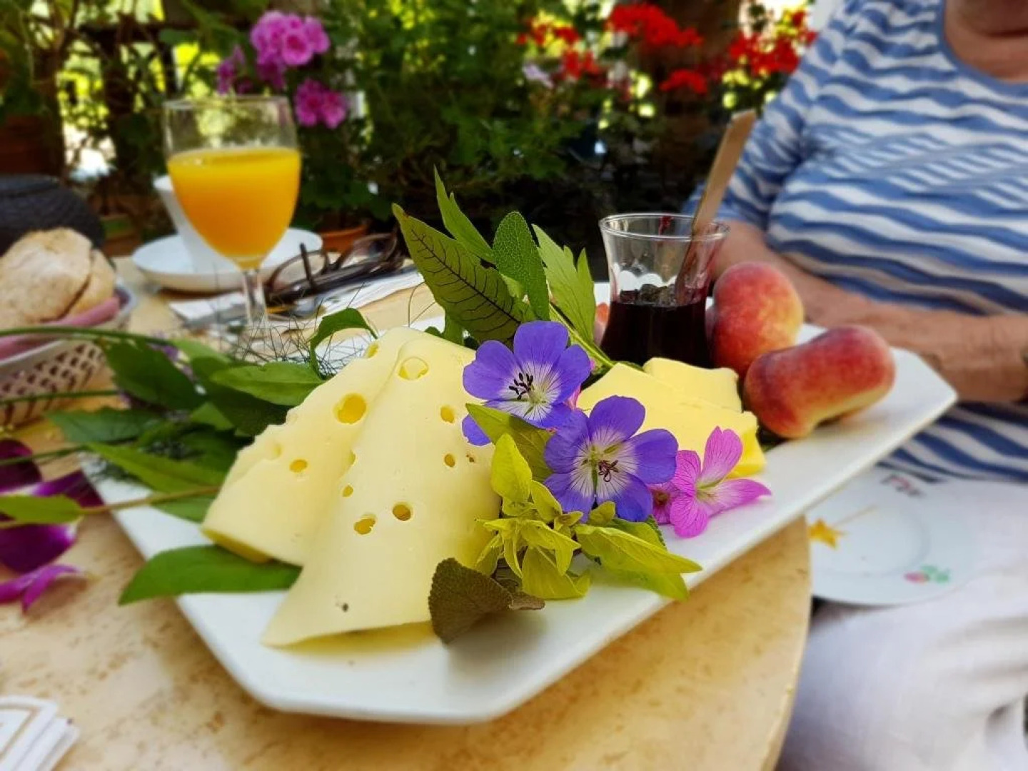 Gartnerens Anneks anno 1879