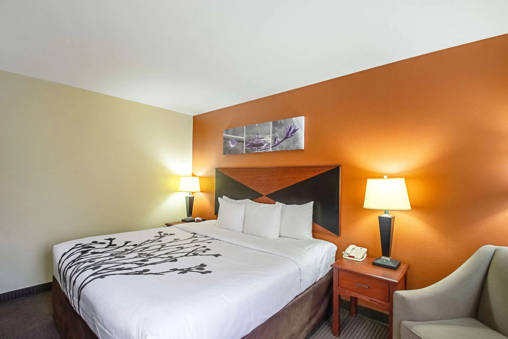 Sleep Inn & Suites Madison - Monona