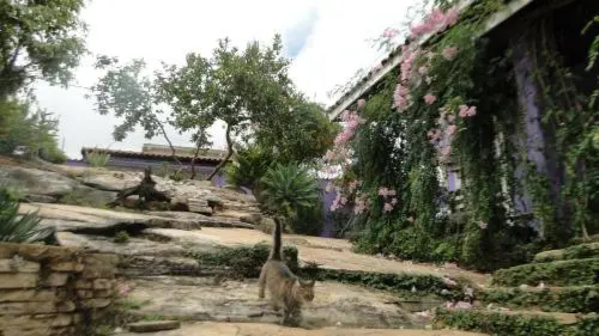 Pousada Alï¿½m da Lenda