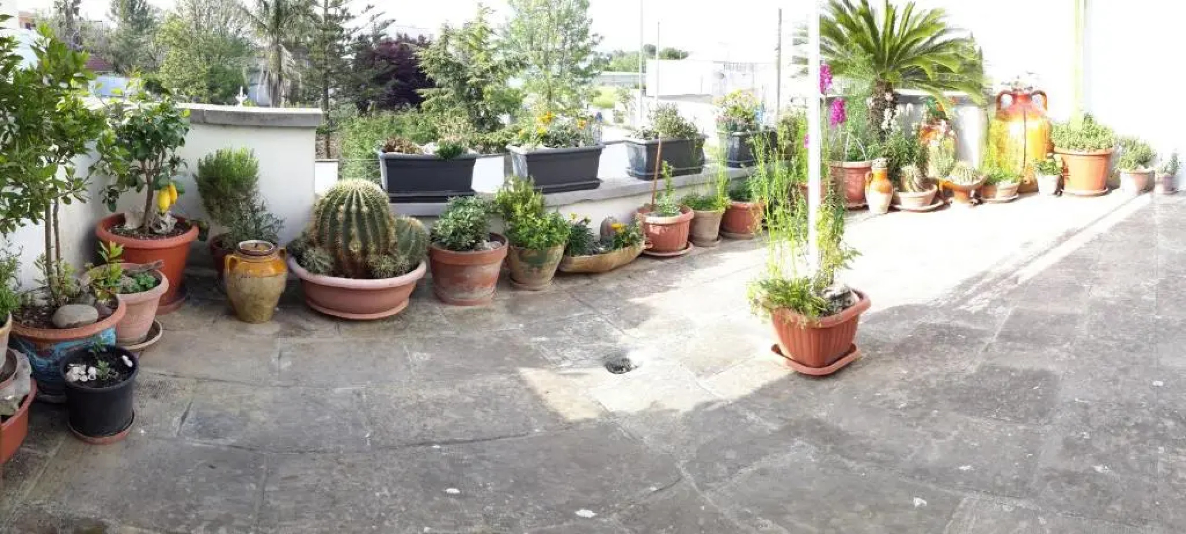 Bed and Breakfast Donna Carmela