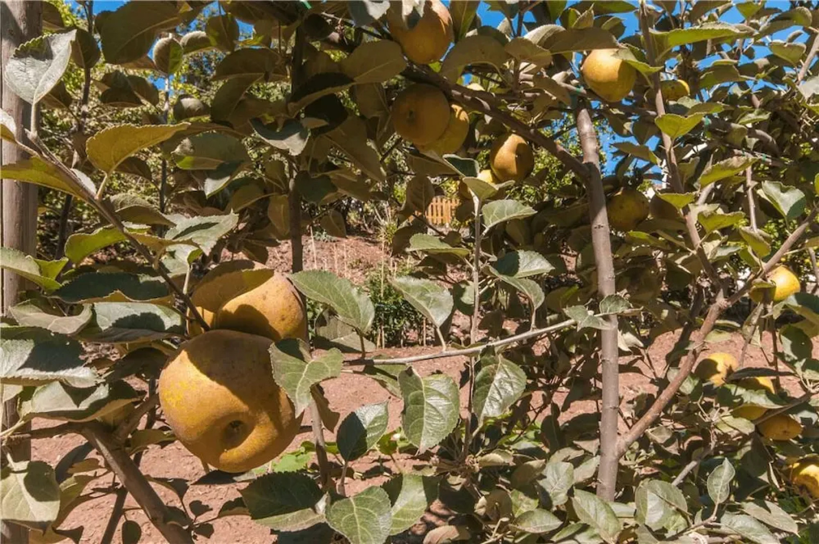 Casa Rural con piscina compartida Valleseco II