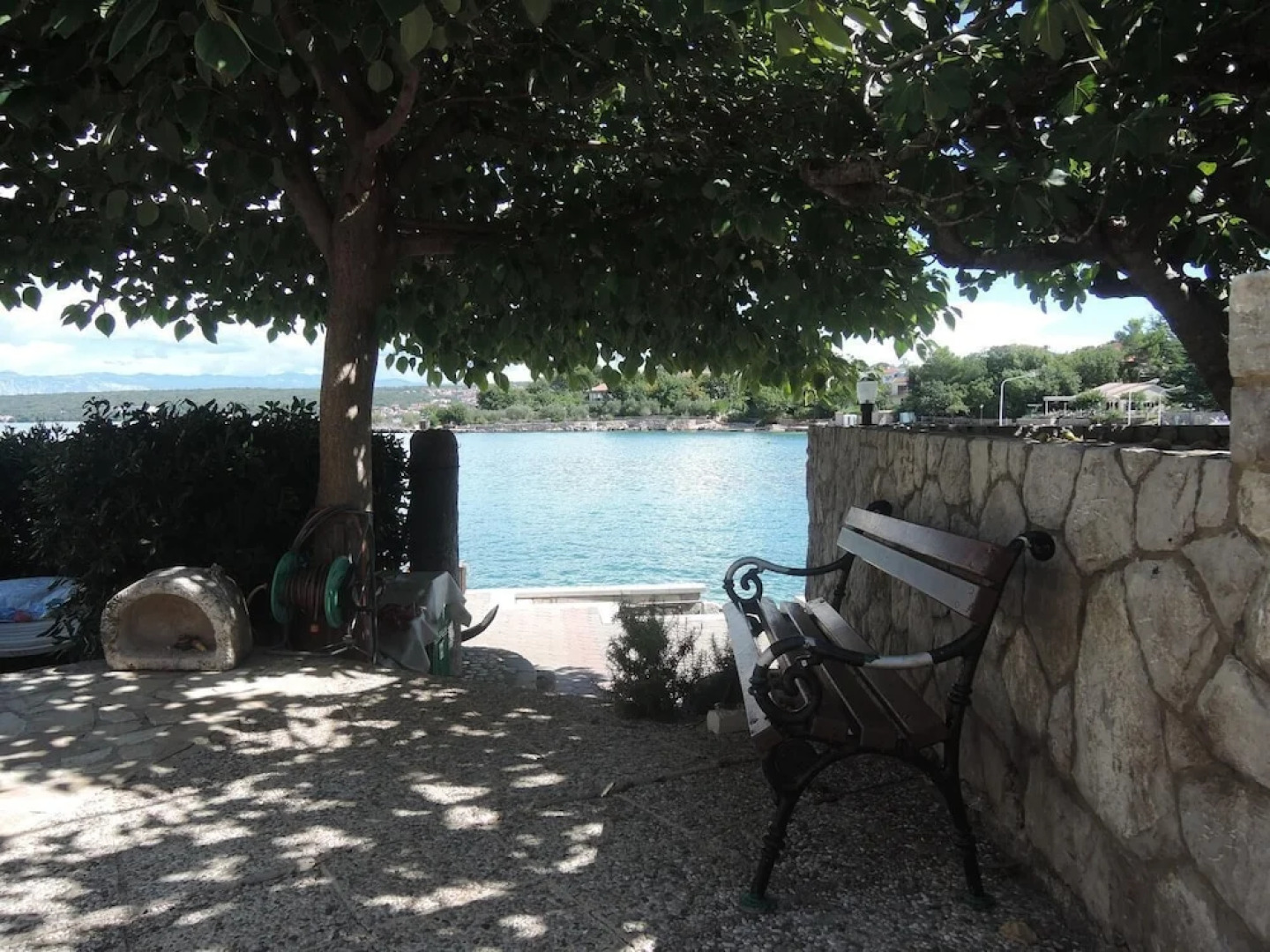 Apartment Blue Orchid