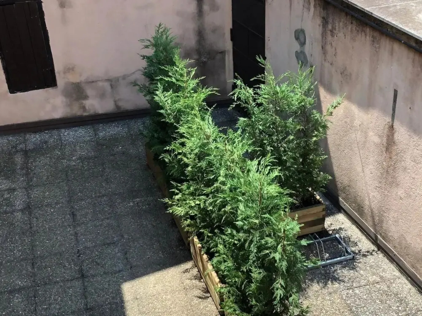 Carola A Tastefully Furnished Apartment Lakefront