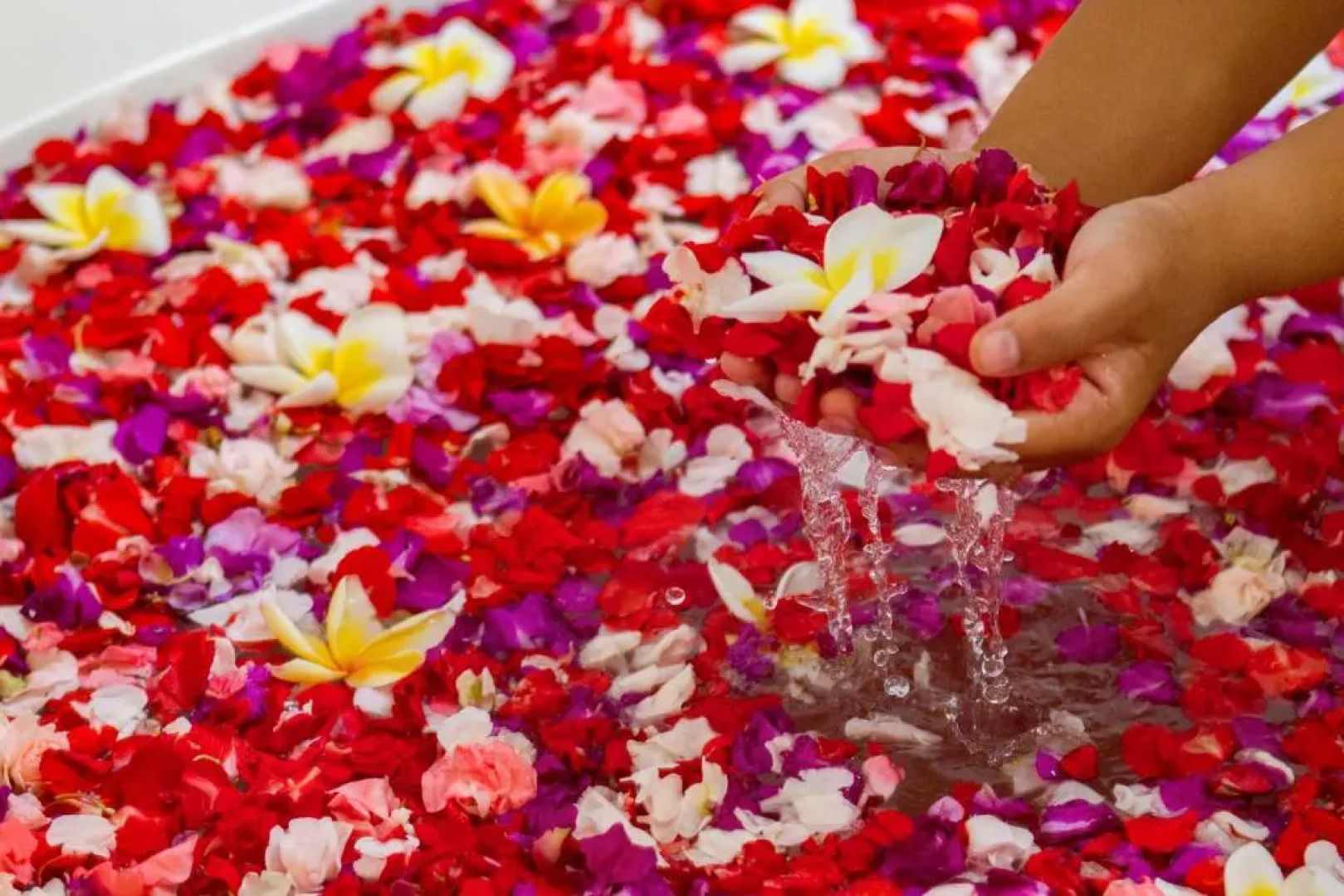 Bali Taman Lovina Resort and Spa Suites