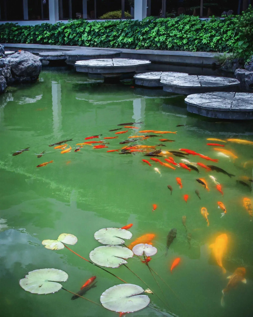 Guilin Grand Link Hotel