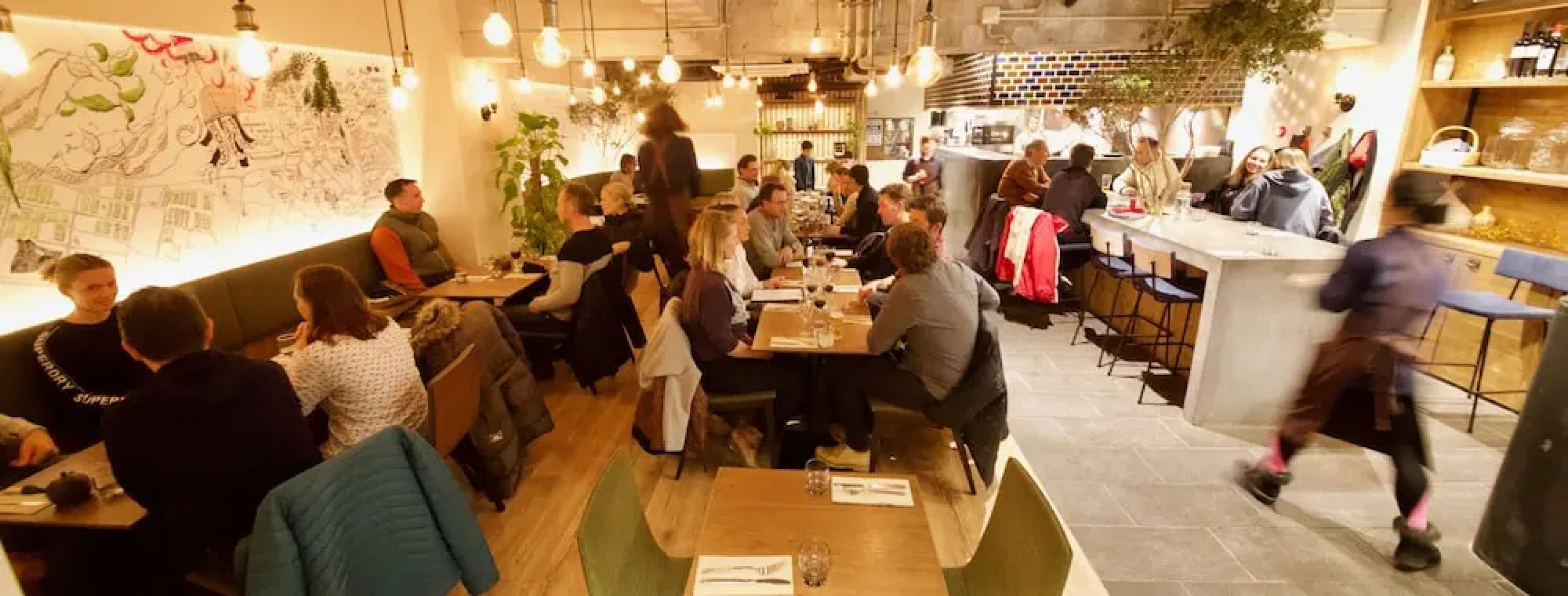 Tanuki Luxury Apartments