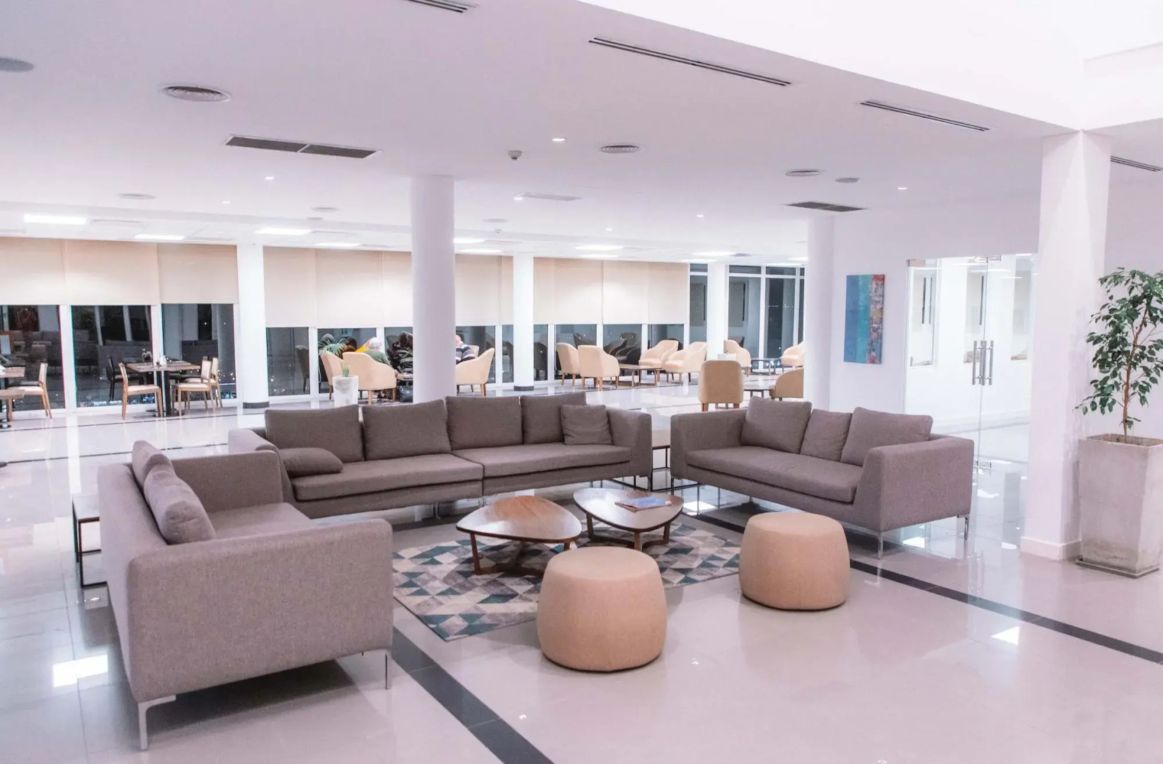 Cyan Wenelen Vaca Muerta