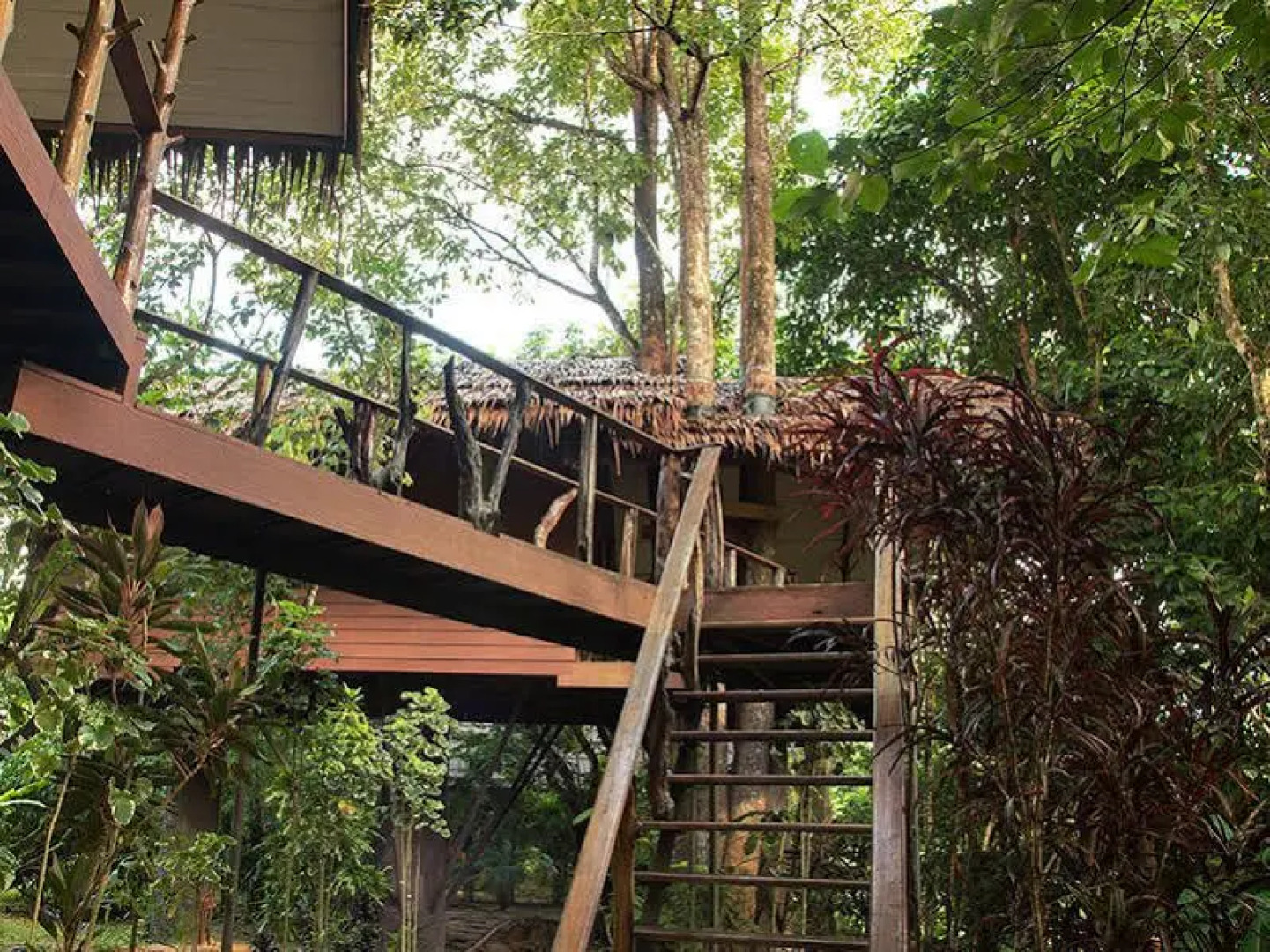 Khao Sok Paradise Resort