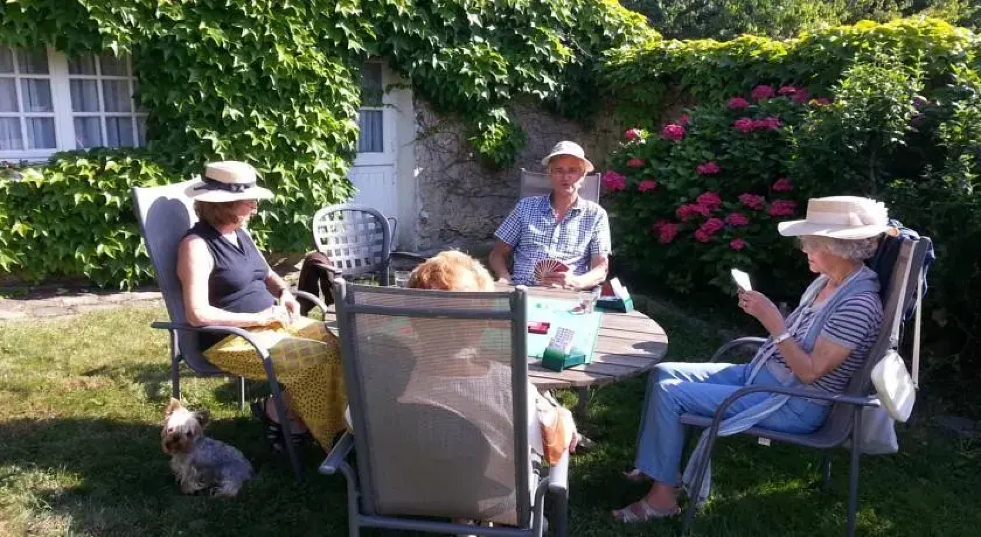 Domaine des Basses Masures