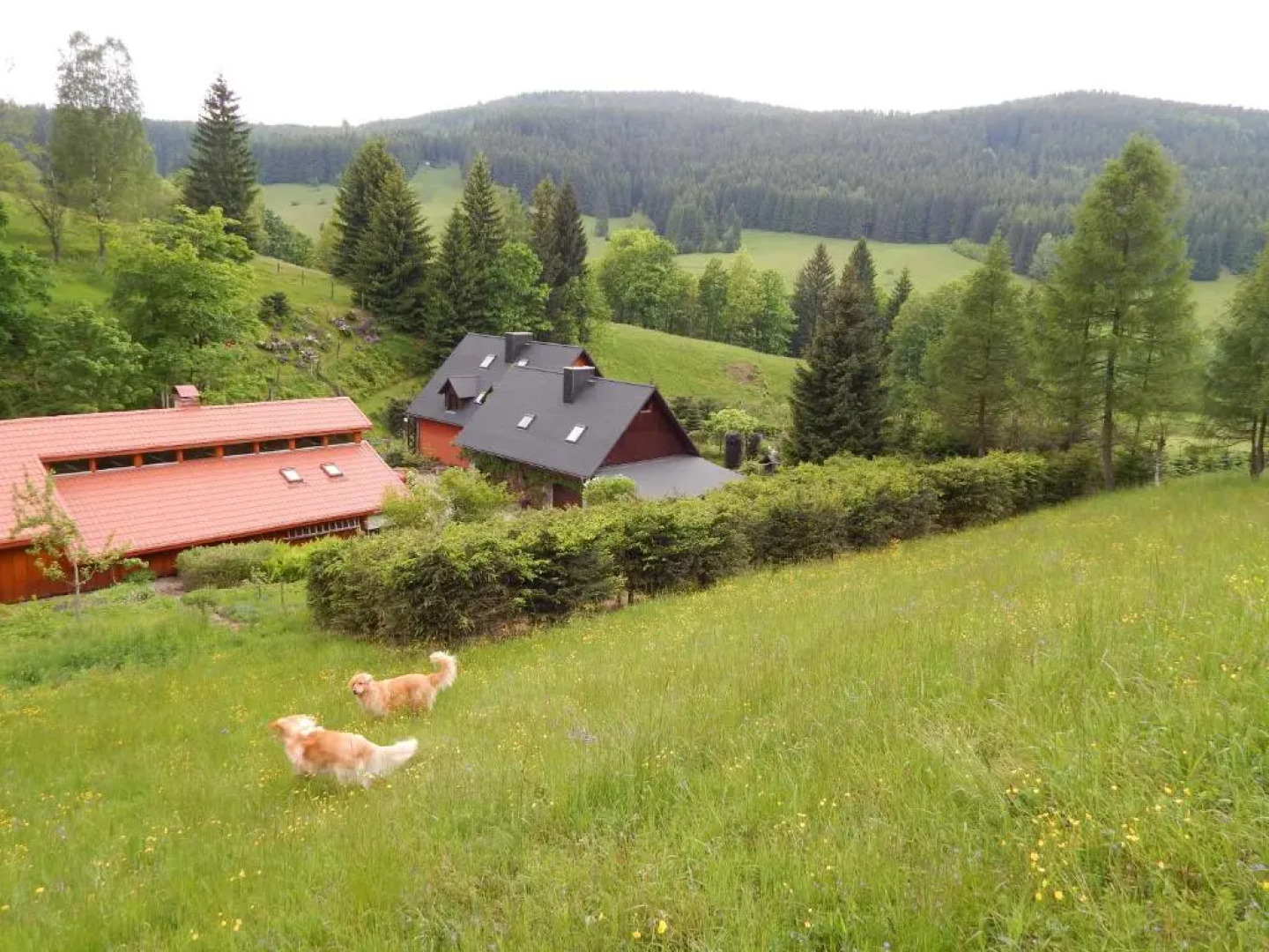 BIELICE Chatka Trapera & Co