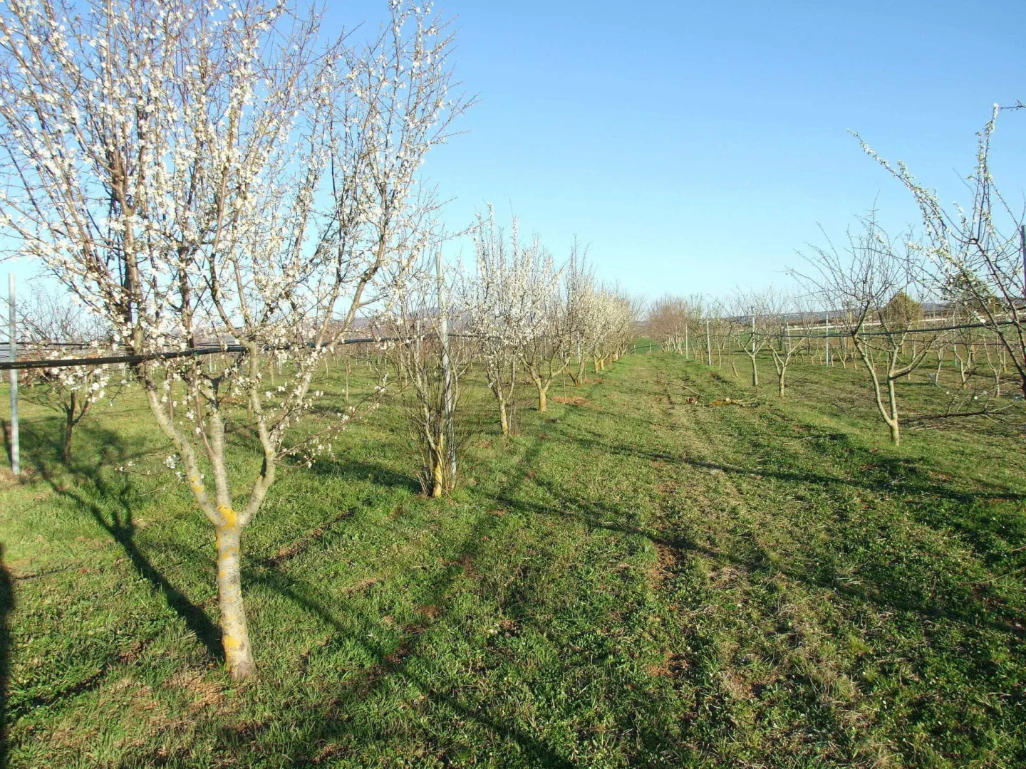 Agriturismo il Marrugio