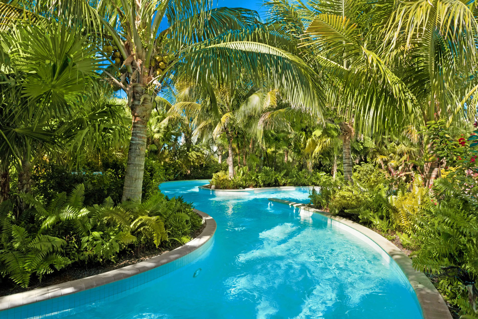 Hyatt Regency Coconut Point Resort & Spa