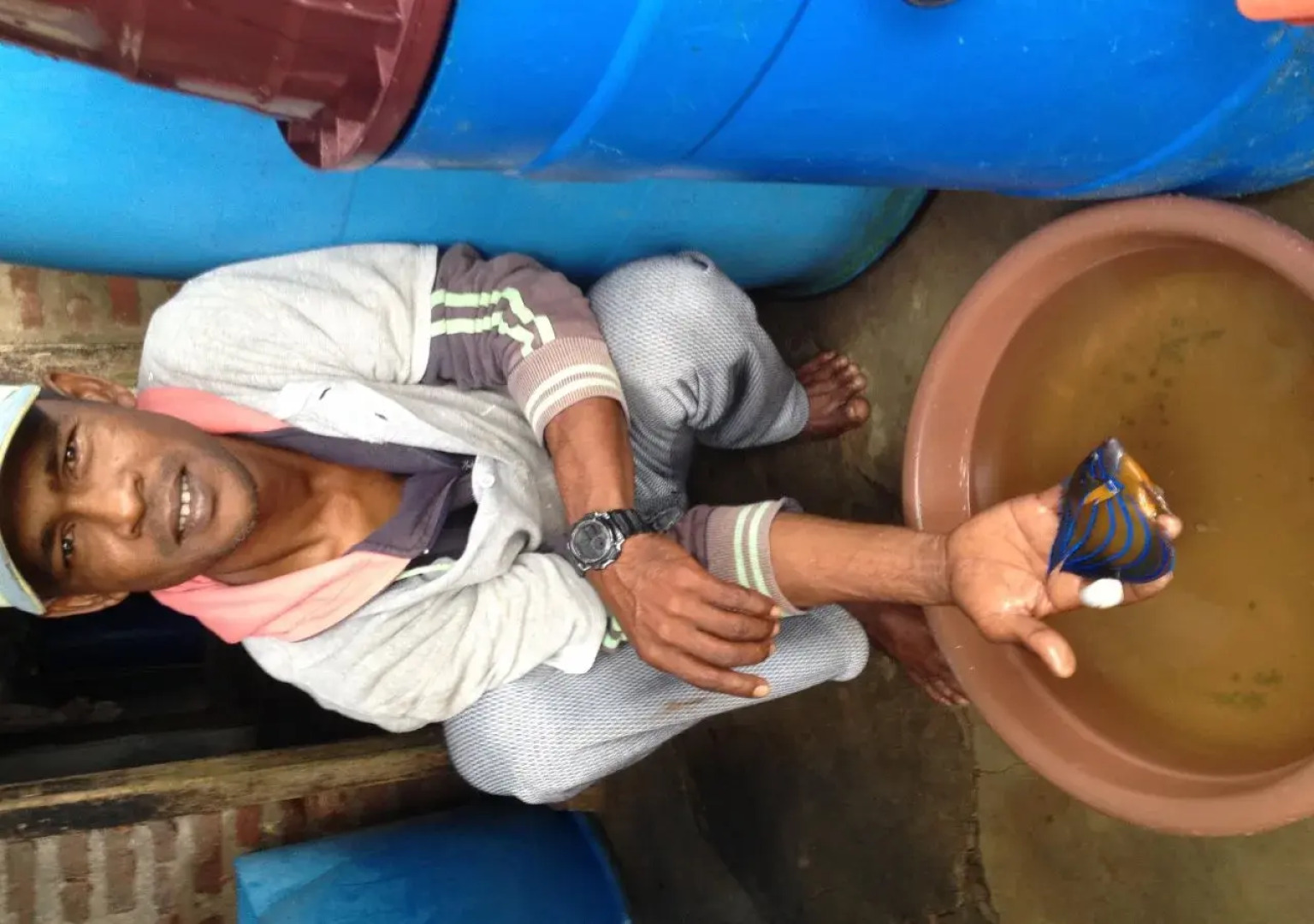 Alankuda Dolphin Village