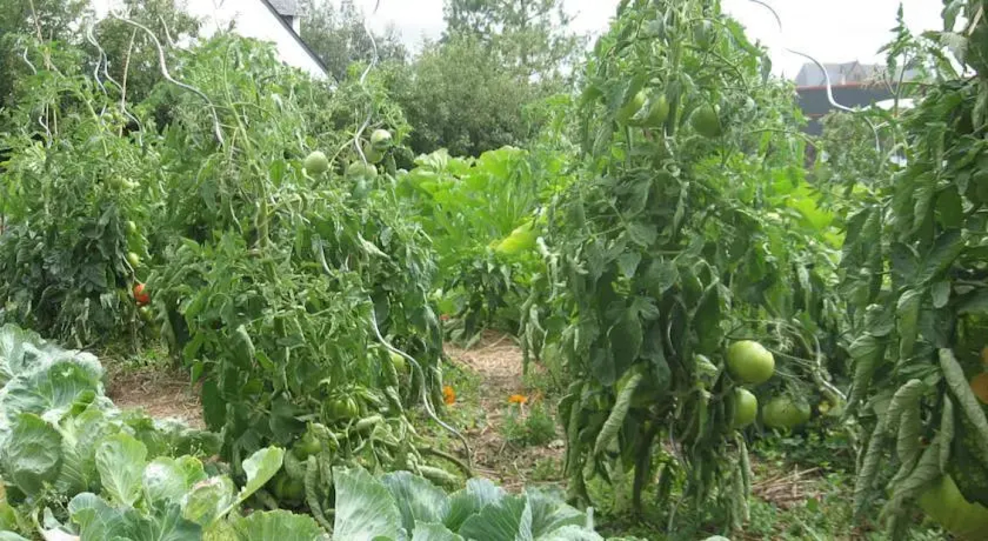 Le Lieu du bien etre