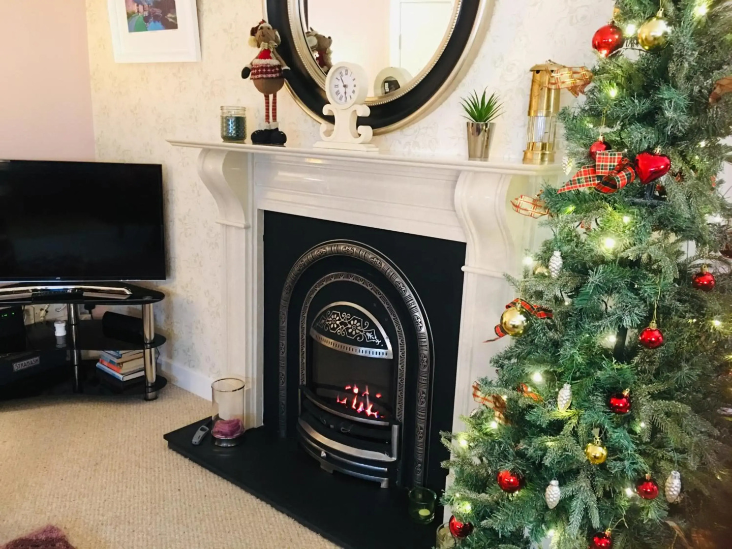 The Little Beech Tree